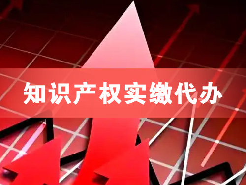 南平知识产权实缴资本代办